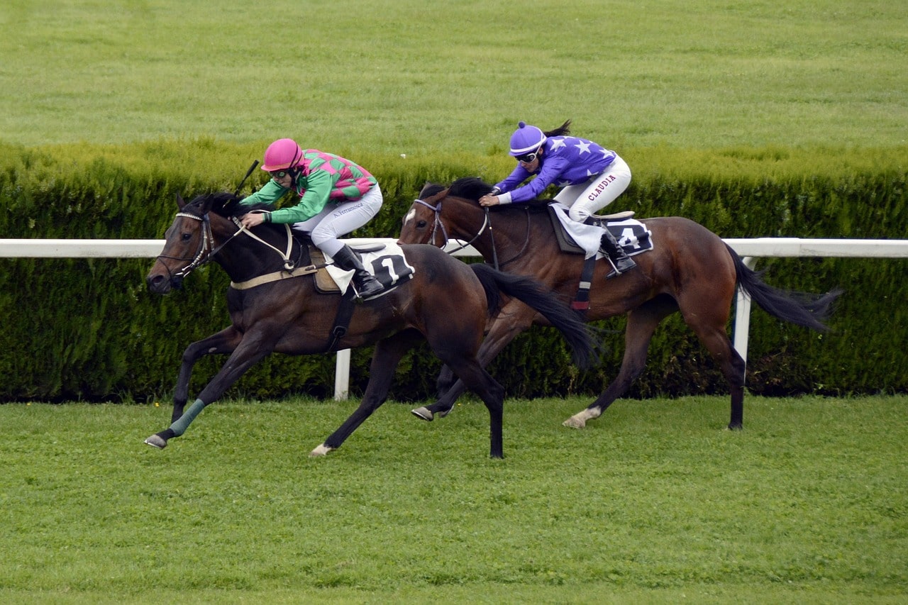horse-race-1577292_1280-min